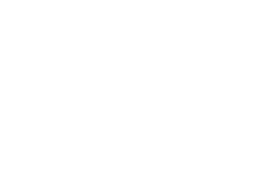 logo Hải Anh
