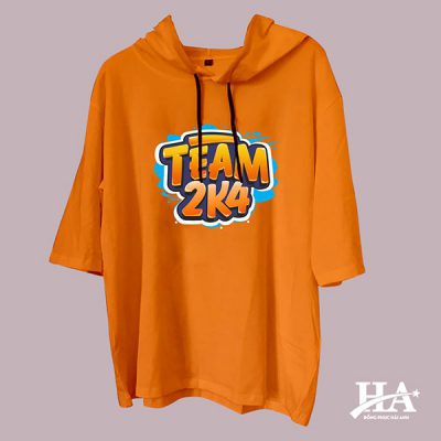 Mẫu áo lớp T-Dee 03