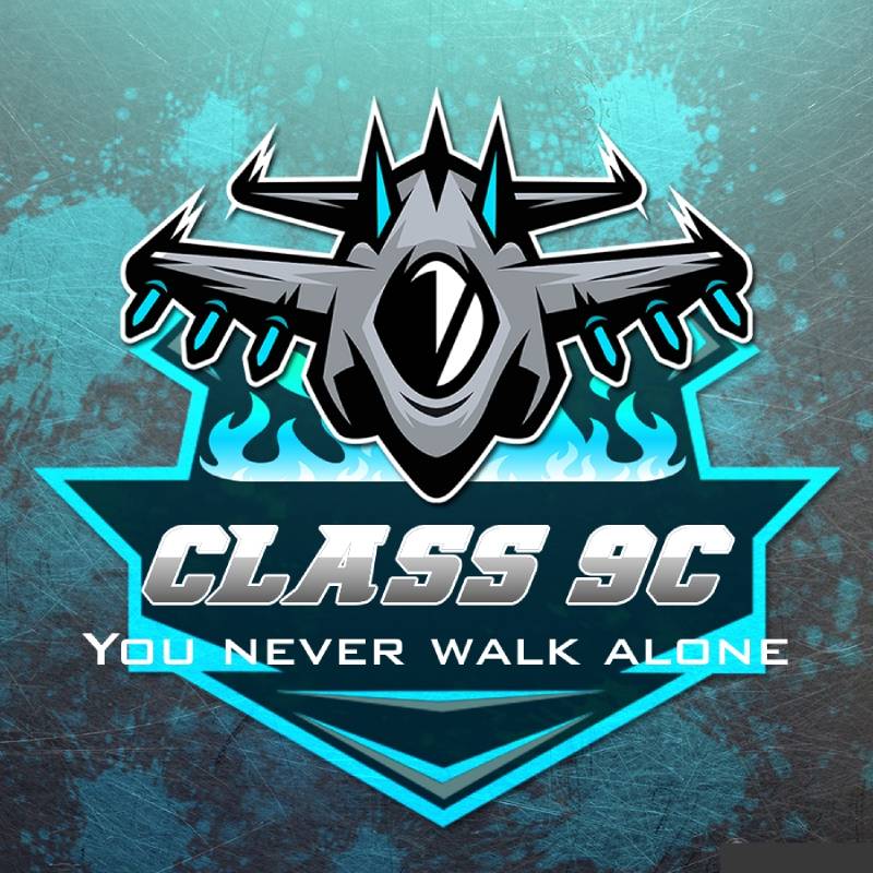 Mẫu logo áo lớp ý nghĩa: You never walk alone