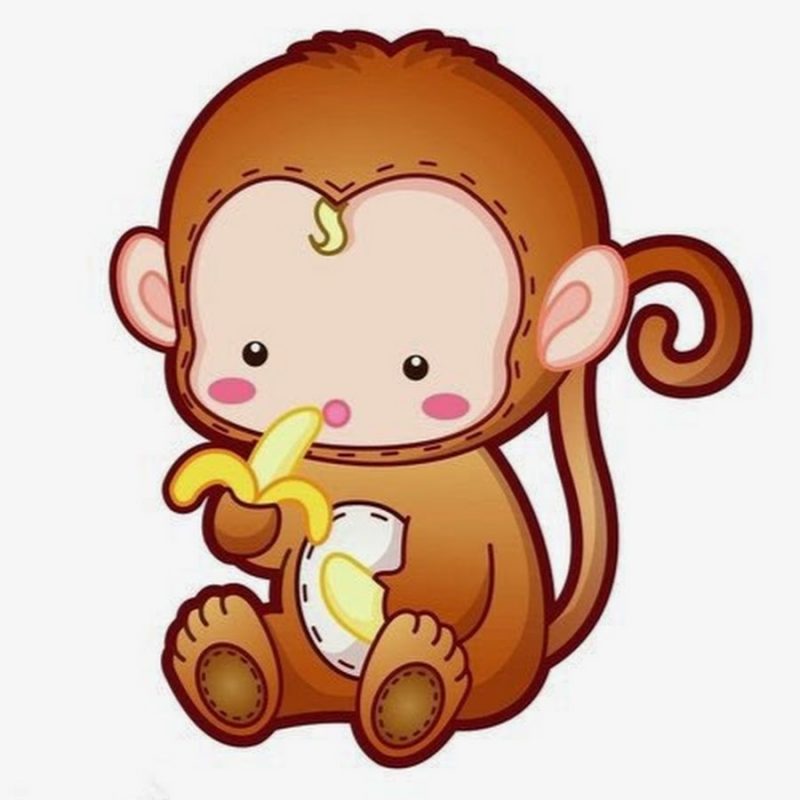 Ý nghĩa áo lớ hình con khỉ