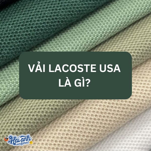 Tìm hiểu các thông tin về vải Lacoste USA