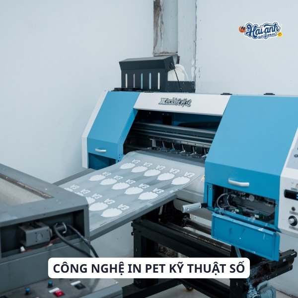 Công nghệ in pet KTS đẹp mắt