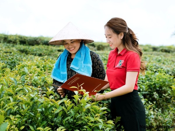 Mẫu áo thun Agribank kiểu polo thiết kế hiện đại, thanh lịch