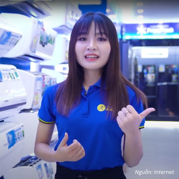 Mẫu áo polo đồng phục Điện Máy Xanh hiện đại, chuyên nghiệp
