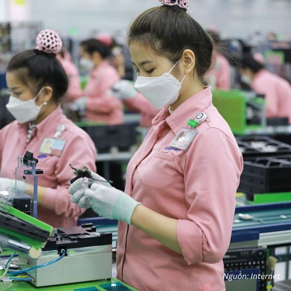 Áo sơ mi đồng phục công nhân Samsung