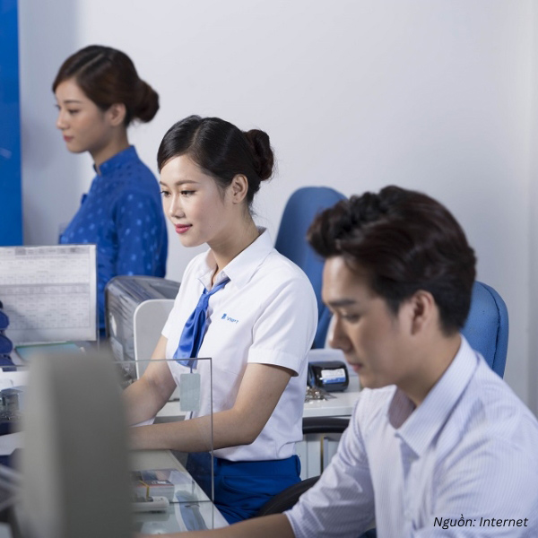 Thiết kế sơ mi công sở thanh lịch, phối nơ cổ cho nhân viên nữ