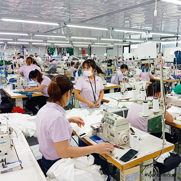 Bigsun Global Việt Nam - Công ty được nhiều đơn vị tin tưởng lựa chọn