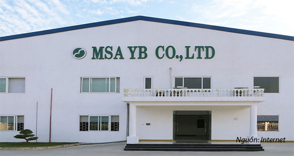 MSA YB – Địa chỉ chuyên may đồng phục số lượng lớn
