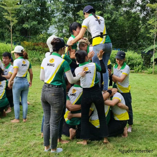 Mẫu đồng phục team building Bách Hóa Xanh năng động, trẻ trung