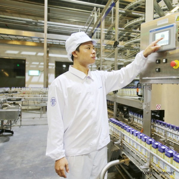 Đồng phục bảo hộ lao động của nhân viên nhà máy Vinamilk
